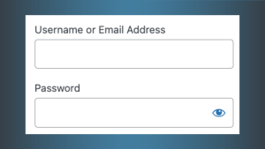 Untitled design 36 - Locked Out? Understanding WordPress Login Error Messages - Troubleshooting