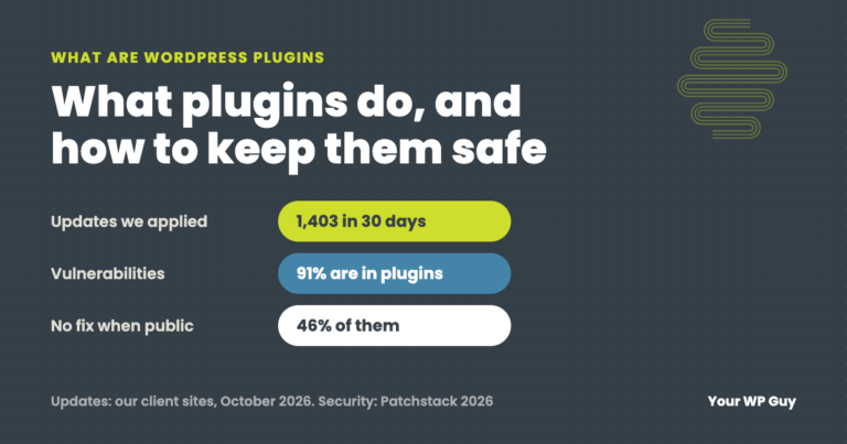 what are wordpress plugins 1 - What Are WordPress Plugins? (And How Many Is Too Many) - WordPress