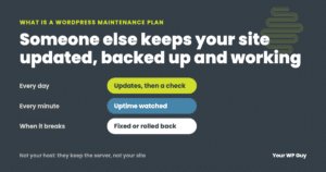 what is a wordpress maintenance plan - What Is a WordPress Maintenance Plan? -